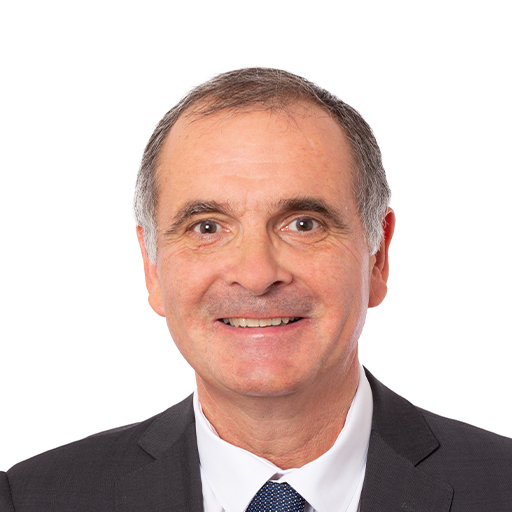Arnaud Bazin (Rapporteur)