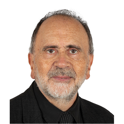 Guy Benarroche (Rapporteur)