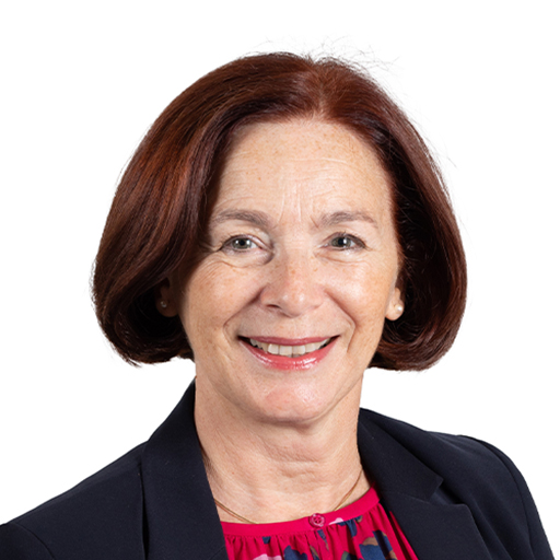 Martine Berthet (Rapporteure)