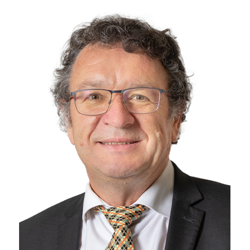 Michel Canévet (Rapporteur)