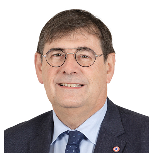 Patrick Chaize (Rapporteur)