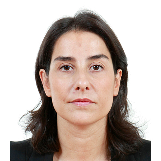 Frédérique Espagnac (Rapporteure)