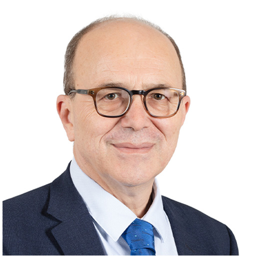 André Gattolin (Rapporteur)