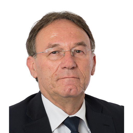 Patrice Joly (Rapporteur)