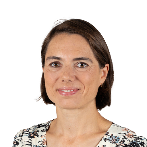Christine Lavarde (Rapporteur)