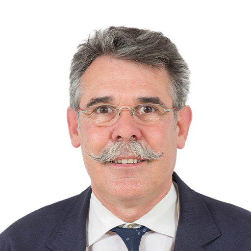 Martin Lévrier (Rapporteur)