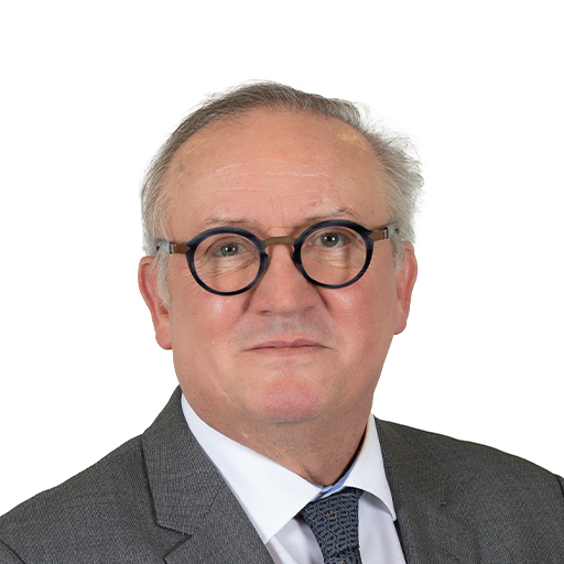 Pierre Médevielle (Rapporteur)